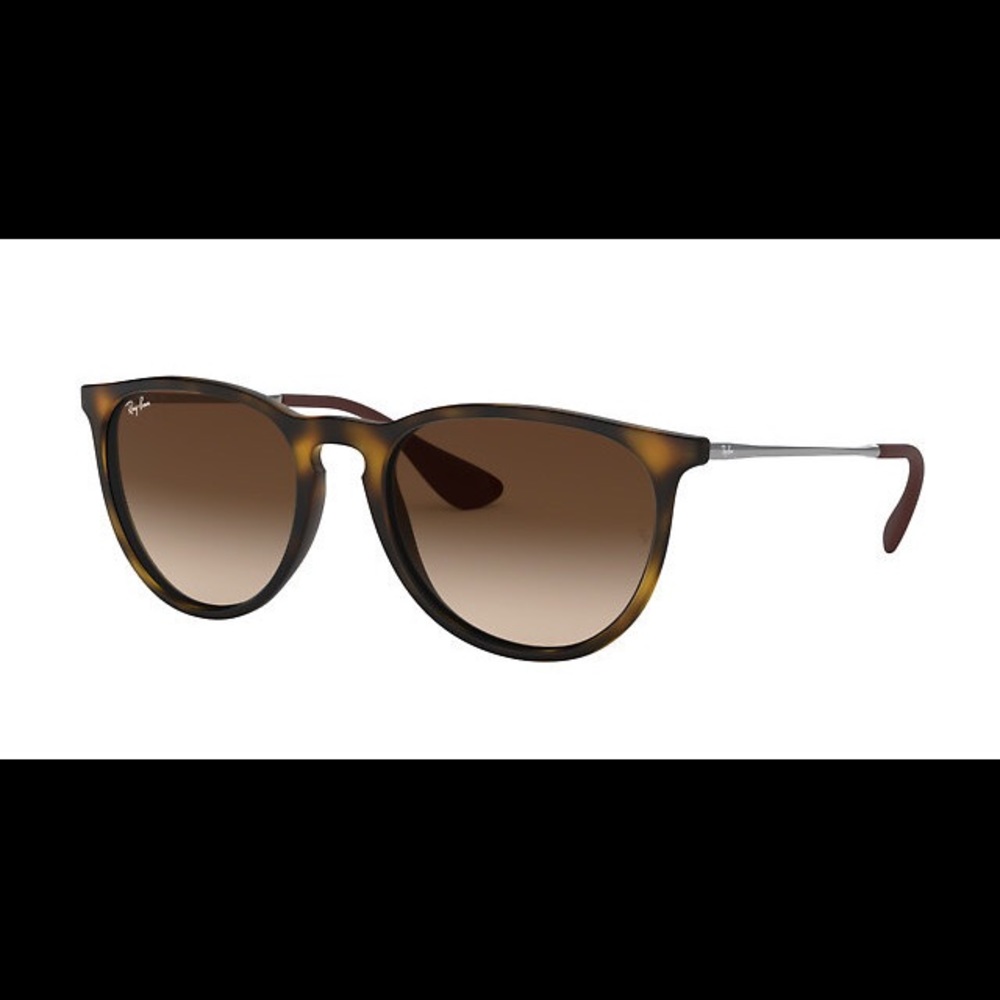 Ray-Ban Erika Tortoise Sunglasses